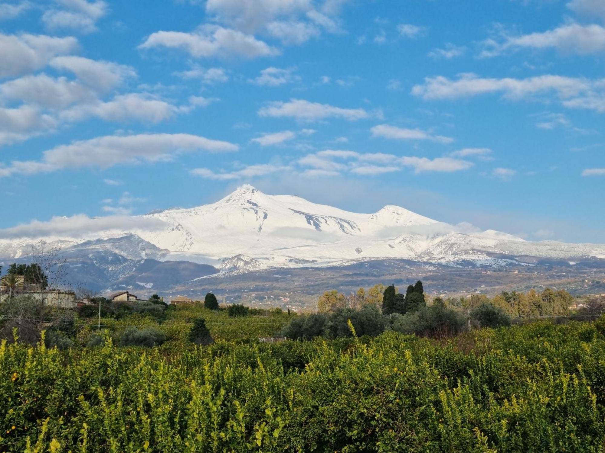 Le Dimore Del Corso II Ad Acireale Fra Catania, Taormina, Il Mare E L'Etna Εξωτερικό φωτογραφία